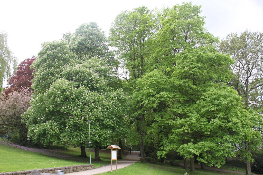 Privatzimmer Hagen Hagen (Arnsberg) Exterior foto