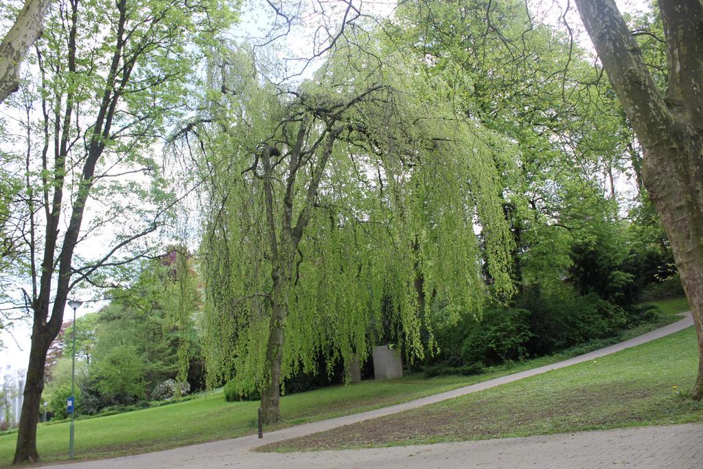 Privatzimmer Hagen Hagen (Arnsberg) Exterior foto